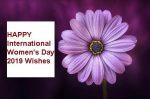 Scholarships For Women Candidates Scholarships For Women Candidates