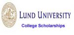 Lund University Global Scholarship
