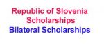 Slovenian Government - Bilateral Scholarships