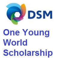 DSM One Young World Scholarship 2022