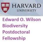 Edward O. Wilson Biodiversity Postdoctoral Fellowship