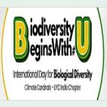 Global Awareness Quiz