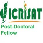 ICRISAT Post-Doctoral Fellow (PDF)