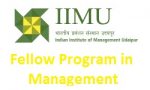 IIM Udaipur Fellow Program In Management