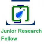 Indian Institute of Information Technology, Design and Manufacturing Jabalpur - JRF