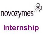 Internship In Novozymes