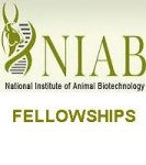 National Institute of Animal Biotechnology NIAB Junior Research Fellow