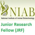 National Institute of Animal Biotechnology-NIAB Junior Research Fellow-JRF