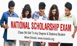 National Scholarship Exam NSE – 2020