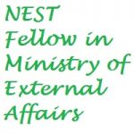 NEST - New, Emerging & Strategic Technologies - Fellows