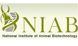 NIAB Admission to Research Scholars Program 2018-2019