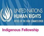 OHCHR Indigenous Fellowship Programme