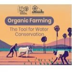 Paragraph Writing Contest on Ideas on Constructive works of Mahatma Gandhi - Organic Farming