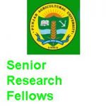 PUNJAB AGRICULTURAL UNIVERSITY LUDHIANA Senior Research Fellows