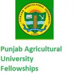 PUNJAB AGRICULTURAL UNIVERSITY Senior Research Fellow