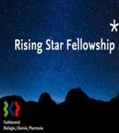 Rising Star Fellowship Program