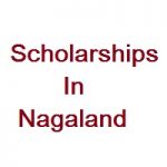 Scholarships In Nagaland Scholarships In Nagaland