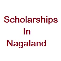 Scholarships In Nagaland