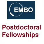 The EMBO Postdoctoral Fellowships