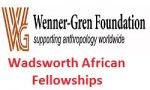 The Wadsworth African Fellowships