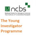 The Young Investigator Programme at NCBS