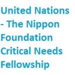 United Nations - The Nippon Foundation Critical Needs Fellowship