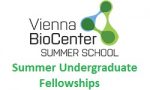 Vienna Biocenter Summer School Undergraduate Fellowships