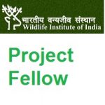 Wildlife Institute of India Dehradun Project Fellow
