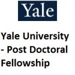 Yale University - MacMillan Center Post Doctoral Fellowship 2020-2021