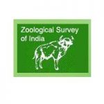 ZOOLOGICAL SURVEY OF INDIA POST DOCTORAL FELLOWSHIPS